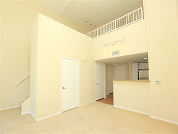 The Pacific (Loft)