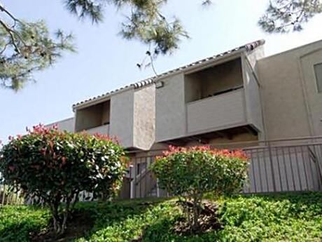 Apartment for Rent in Spring Valley