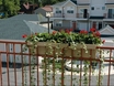 The Enclave At Kennedy Ridge