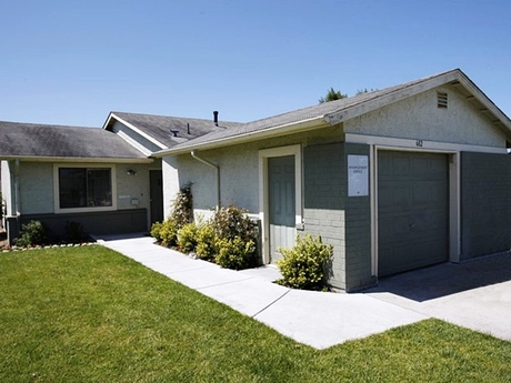Apartment for Rent in Marina