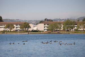Harbor Cove | Foster City, California, 94404   MyNewPlace.com