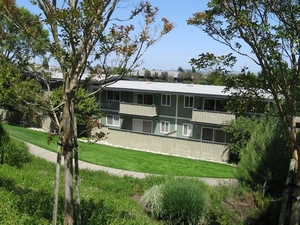 Madera Valley Apartments | Corte Madera, California, 94925   MyNewPlace.com