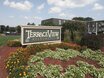 Terrace View Apartments