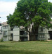 Cottonwood Park