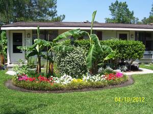 Summer Glen Apartments | Jacksonville, Florida, 32216  Garden Style, MyNewPlace.com