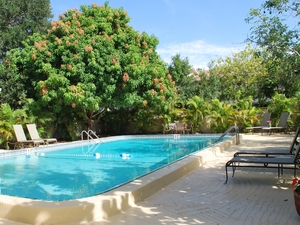 Banyan Trail Apartments - Sarasota, FL | Sarasota, Florida, 34233   MyNewPlace.com