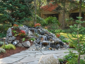 Park in Bellevue | Bellevue, Washington, 98004   MyNewPlace.com