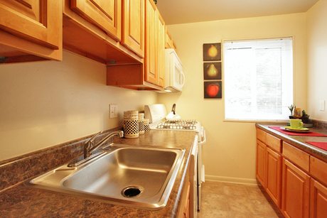 Apartment for Rent in Suitland
