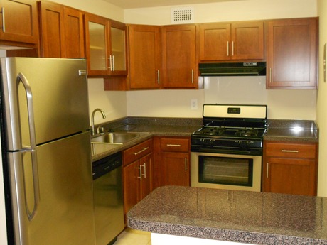 Apartment for Rent in Silver Spring