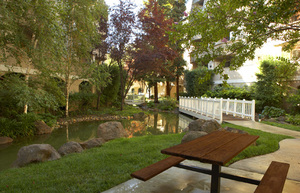 Park Regency Apartments | Walnut Creek, California, 94597   MyNewPlace.com