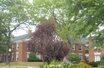 East Brook Village