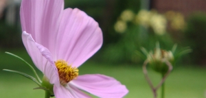 Sdk Summit Gardens | Hackensack, New Jersey, 07601   MyNewPlace.com