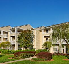 Mission University Pines | Durham, North Carolina, 27707  Garden Style, MyNewPlace.com
