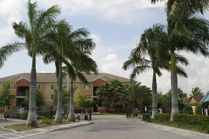 Waverly | West Palm Beach, Florida, 33415   MyNewPlace.com