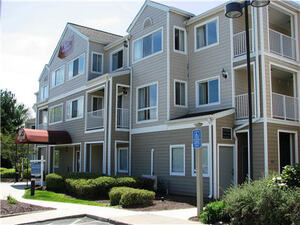 The Infinity | Meriden, Connecticut, 06450   MyNewPlace.com