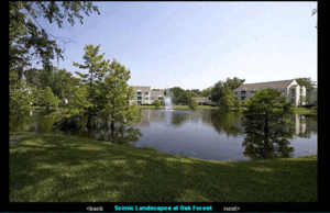 Oak Forest I | Ocoee, Florida, 34761  Garden Style, MyNewPlace.com