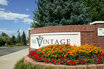 The Vintage At Hyland Hills