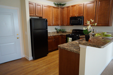 Apartment for Rent in Chester