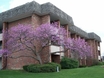 Regency Park Apartments