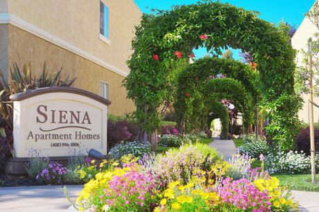 Apartment for Rent in Cupertino