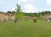 Timber Ridge LLC