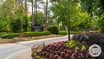 Hampton Village