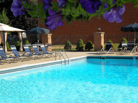 Pet Friendly for Rent in Belleville