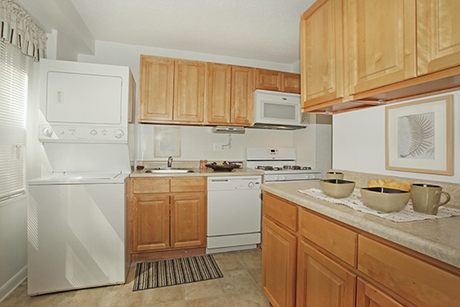 Pet Friendly for Rent in Baltimore