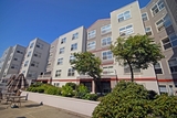 Linden Square