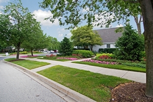 Village Green at Arlington Club | Wheeling, Illinois, 60090   MyNewPlace.com