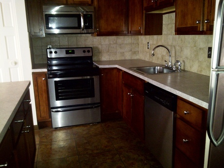 Pet Friendly for Rent in Clarks Summit