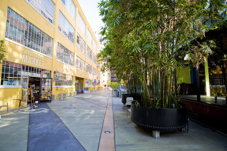 Apartment for Rent in Los Angeles