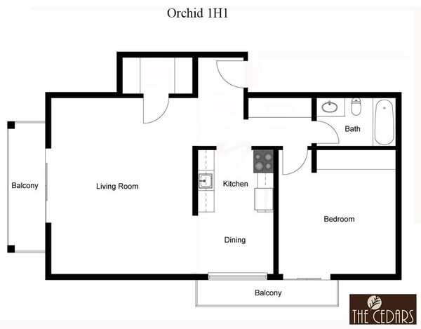 Orchid