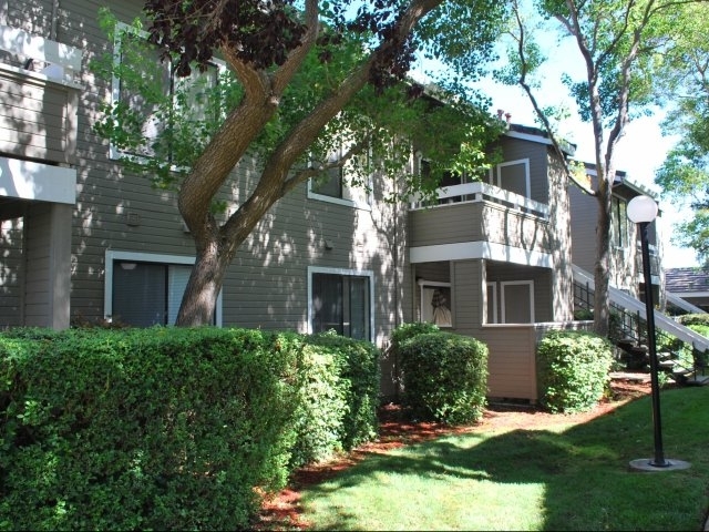 Apartment for Rent in Morgan Hill