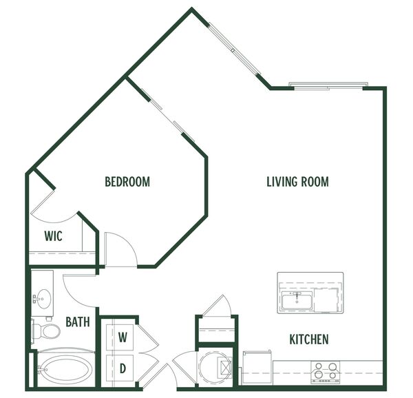 Basswood