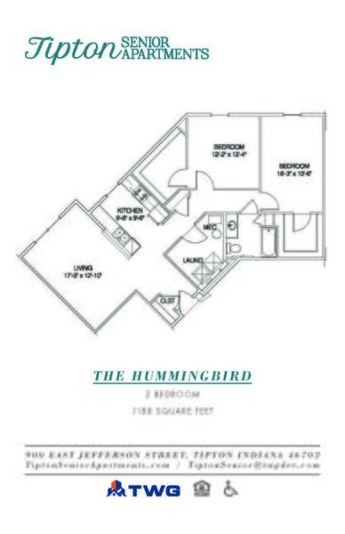 The Hummingbird