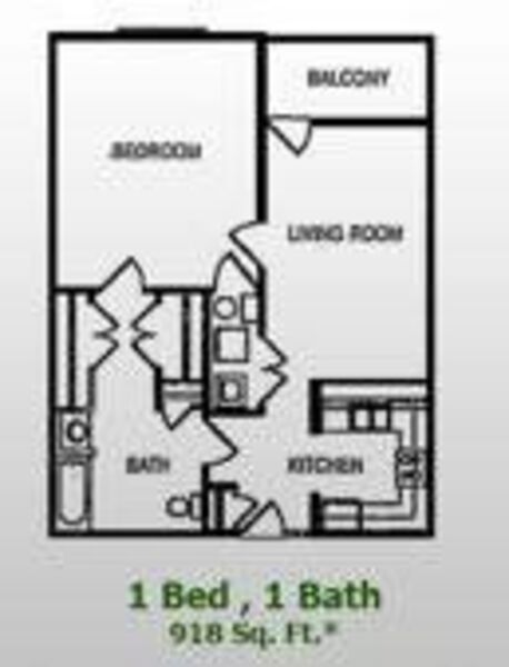 1 Bed 1 Bath