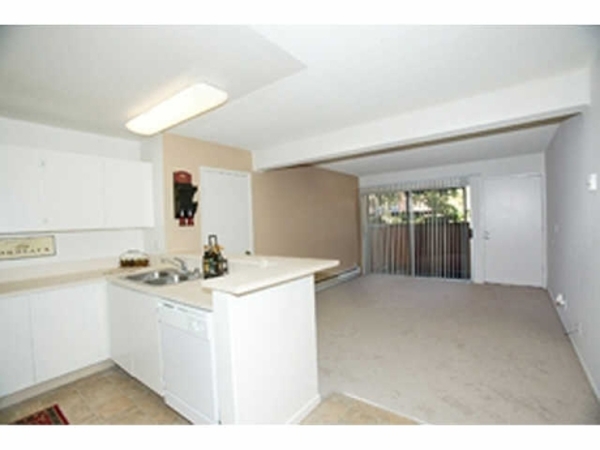 1 Bed 1 Bath