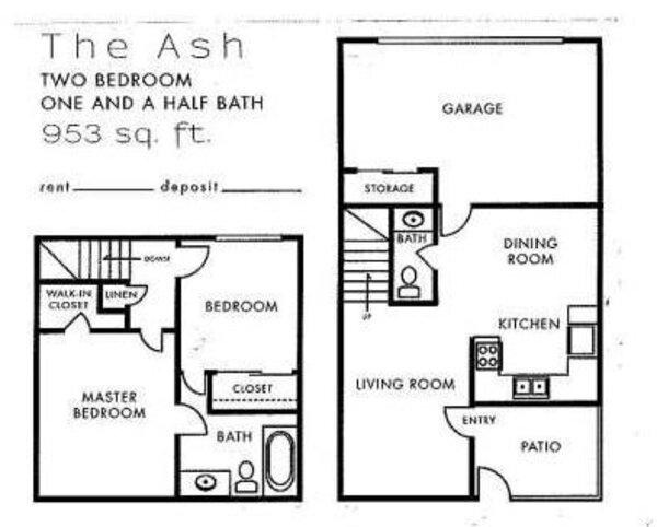 The Ash