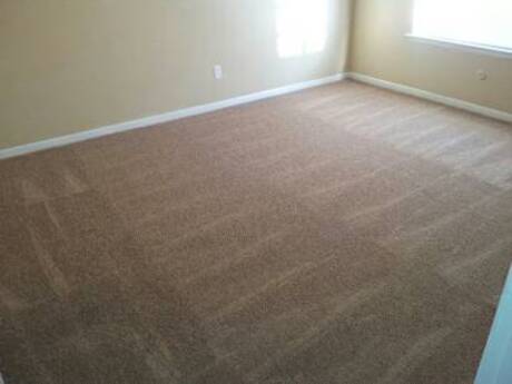 Apartment for Rent in Stafford