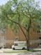 1100 Church St