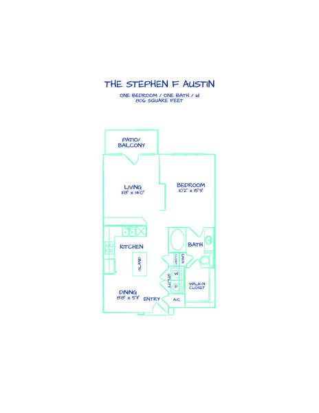The Stephen F Austin