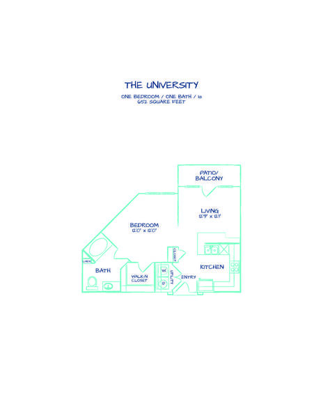 The University