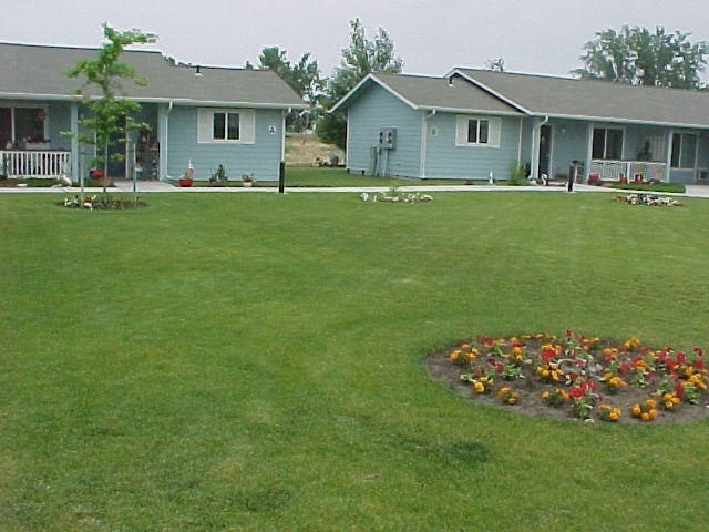 Links, The Apartments