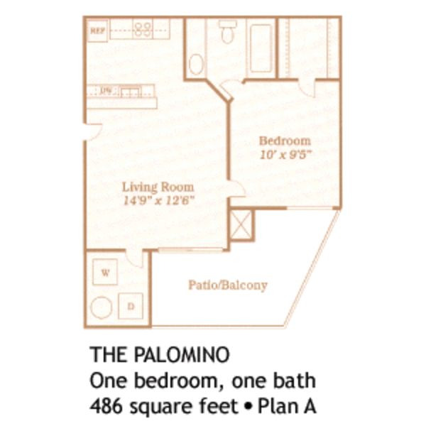 The Palamino