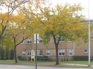 4909 Church | Skokie, Illinois, 60077   MyNewPlace.com