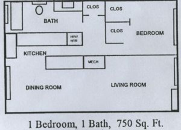 1 Bed 1 Bath