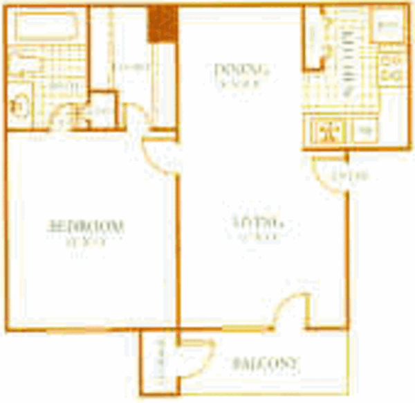 1 Bed 1 Bath