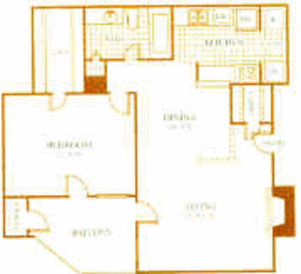 1 Bed 1 Bath