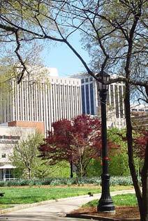 Raleigh Region